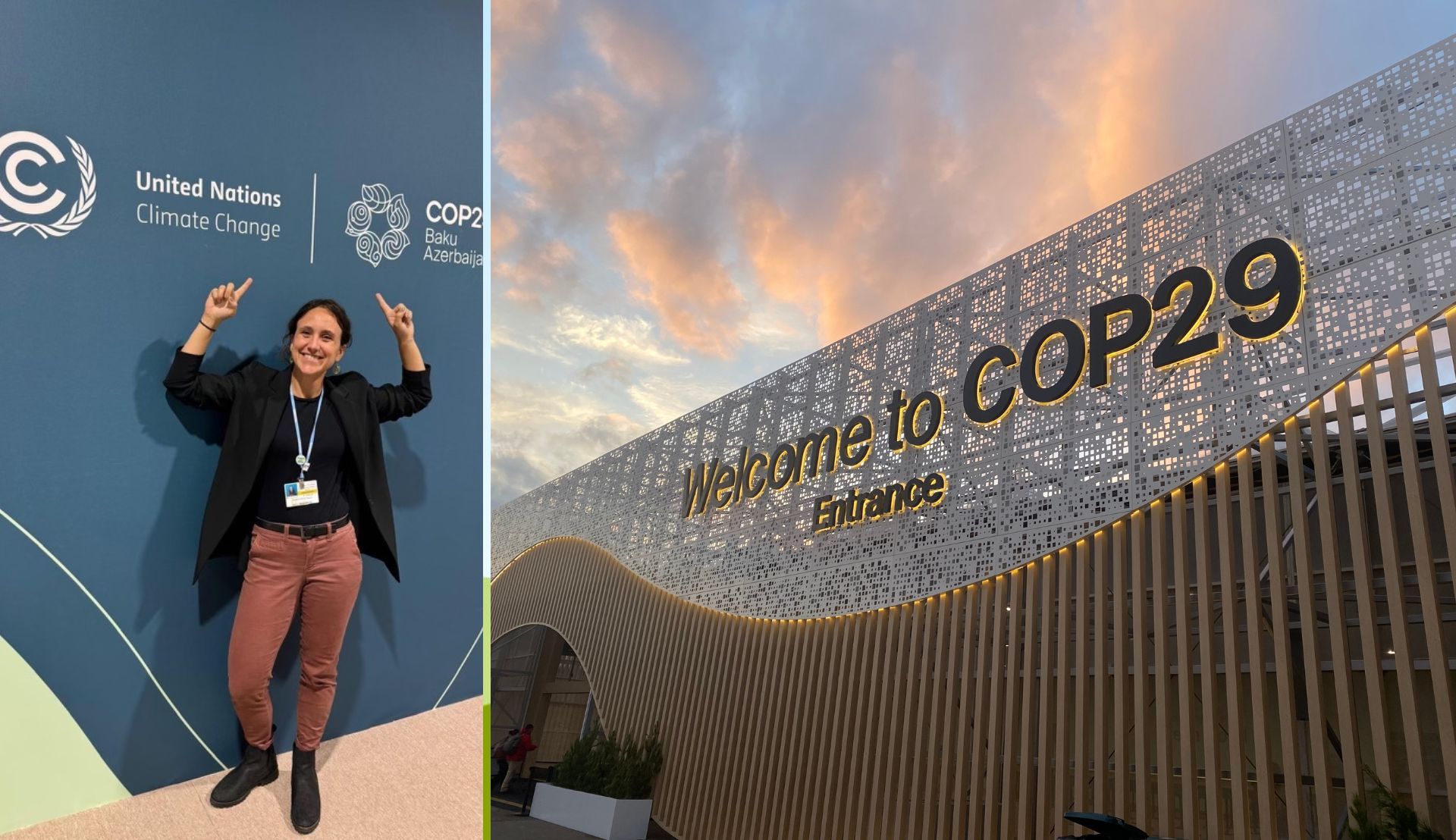 Danielle Falzon at COP29