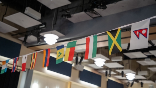 Country Flags-1