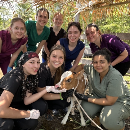 Rutgers students studying abroad with calf
