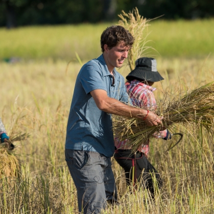 a group of farmers collecting maize