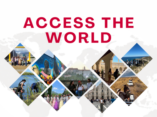 Access the World graphic