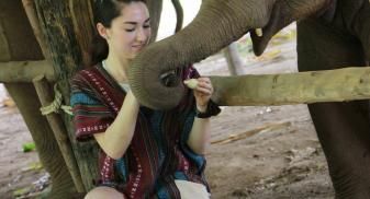 Michelle is with elephants.
