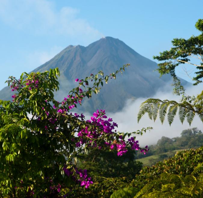 University of Costa Rica