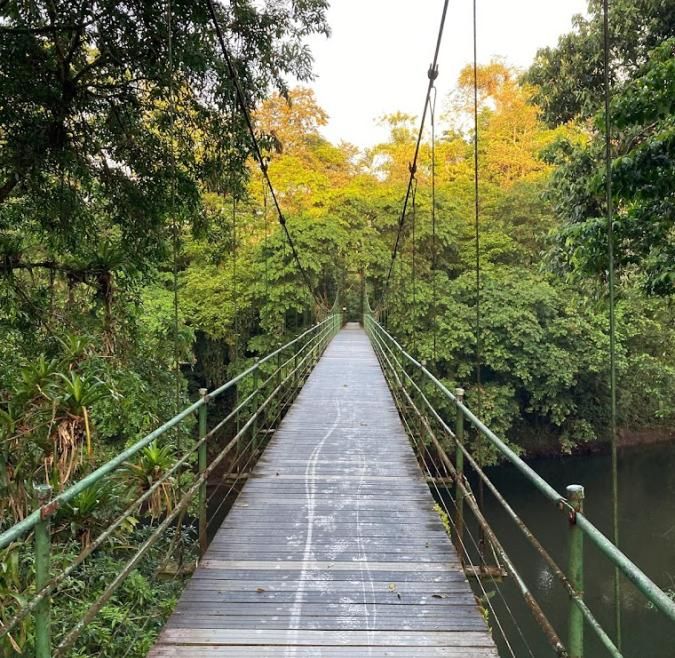 La Selva Bridge