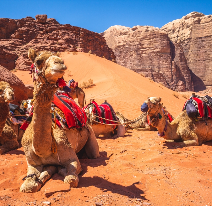 Wadi Rum Jordan