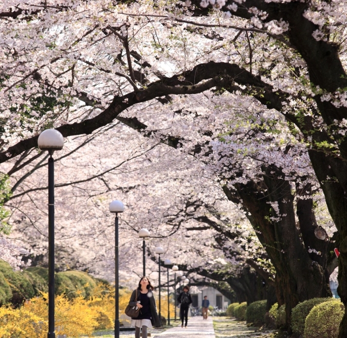 Tokyo