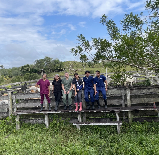 Large Animal Veterinary Practice in the Tropics