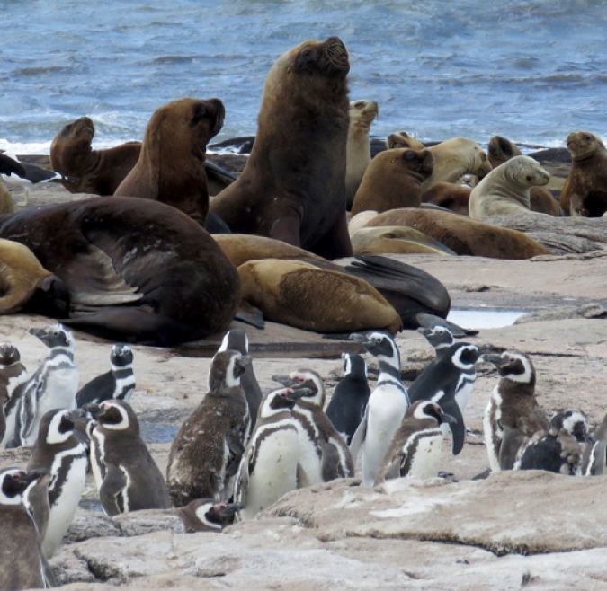 Islotes Lobos National Park
