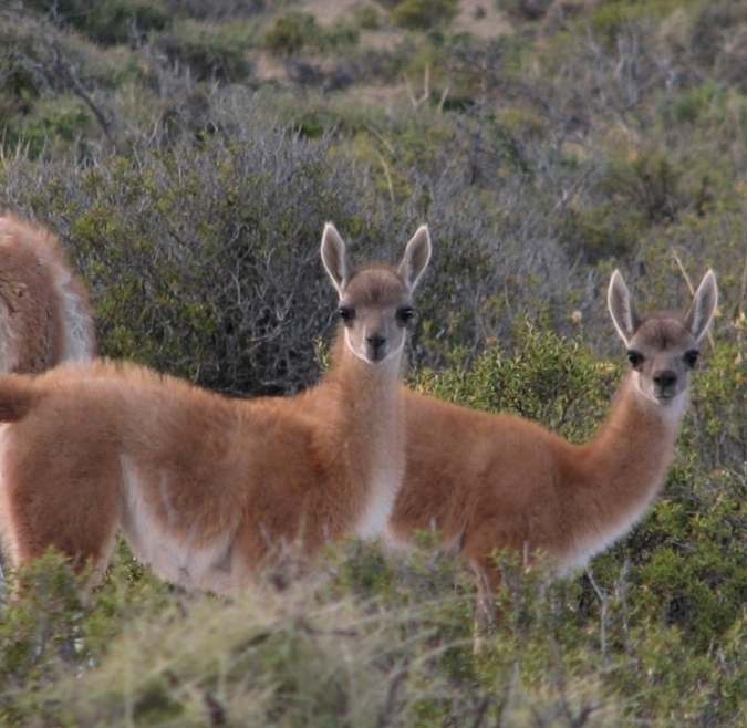 Wildlife Refuge "La Esperanza"
