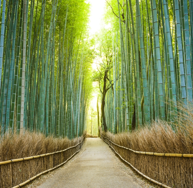 Kyoto