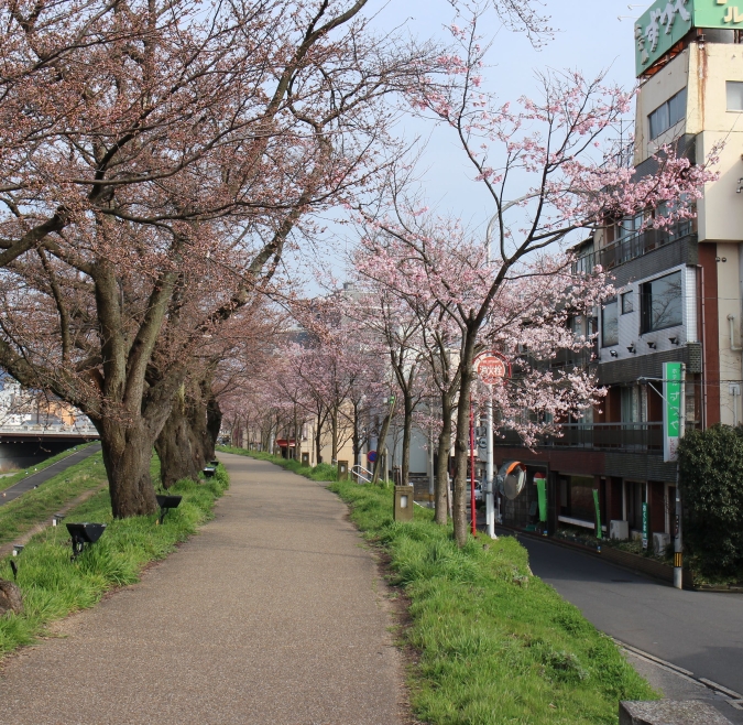 Fukui