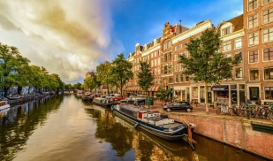 Summer: CEA Summer in Amsterdam