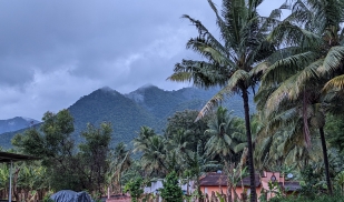 Winter: Rutgers-Rooted in Change: Immersive learning for Rural Agro-Food Development in Southern India