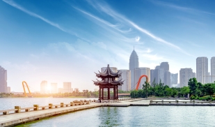 Zhejiang University, School of Management (China)