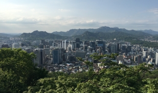 Yonsei University in South Korea (USAC)