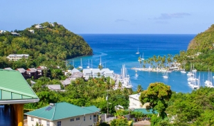 Embedded Spring: Public Health in the Caribbean