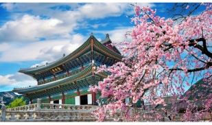 Summer: Rutgers - Rutgers Ewha Study Abroad (RESA) 
