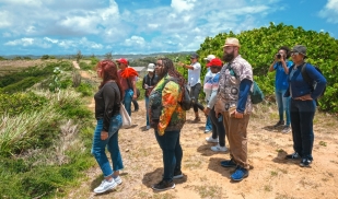 Summer: Rutgers-The Caribbean and the 21st Century: Challenges and Opportunities - BARBADOS
