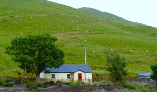 Embedded Spring: Irish Media, Politics and Cultural Survival 