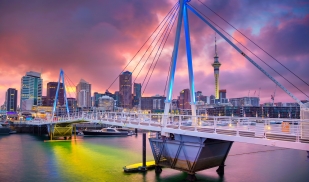 Summer: Global Academic Ventures: Business Internship (various)