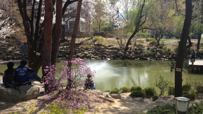 Students are seated in front of a pond in a forested area