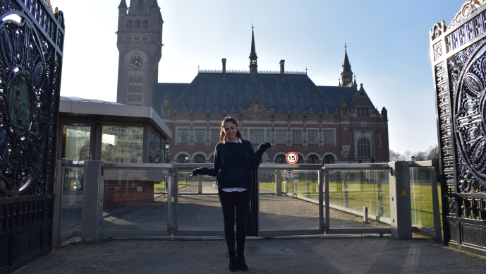 Peace Palace, The Hague