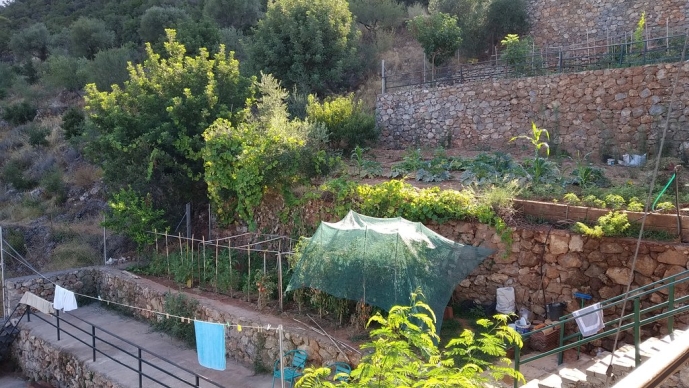 Summer: Rutgers- Food and Mediterranean Culture
