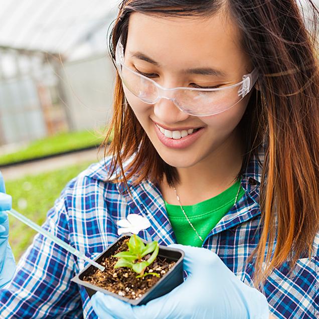 Rutgers Global – Internships, biology student takes samples from a plant 